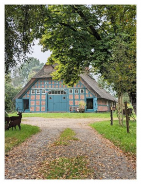 Ferienwohnung - De Deelstuuv